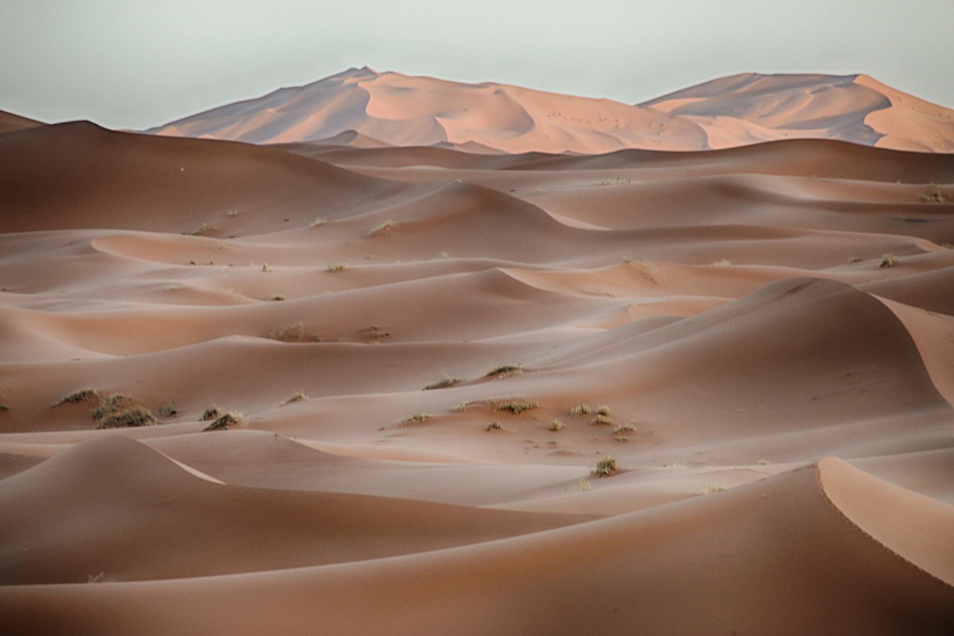 لندن تجدد دعمها القوي للحكم الذاتي.. كوبر: المقترح المغربي “الأساس الأكثر مصداقية” لحل نزاع الصحراء