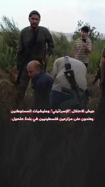 مستوطنون يهاجمون المزارعين في حلحول ويقتلعون الأشجار تحت حماية جيش الاحتلال